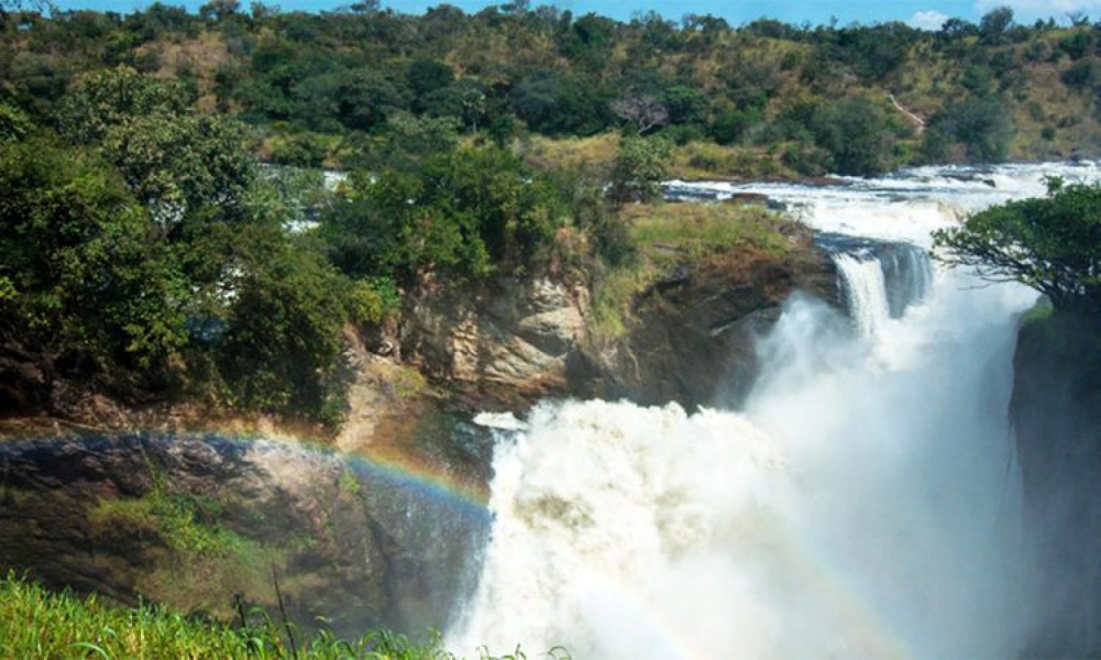 Wildlife photography in Murchison Falls
