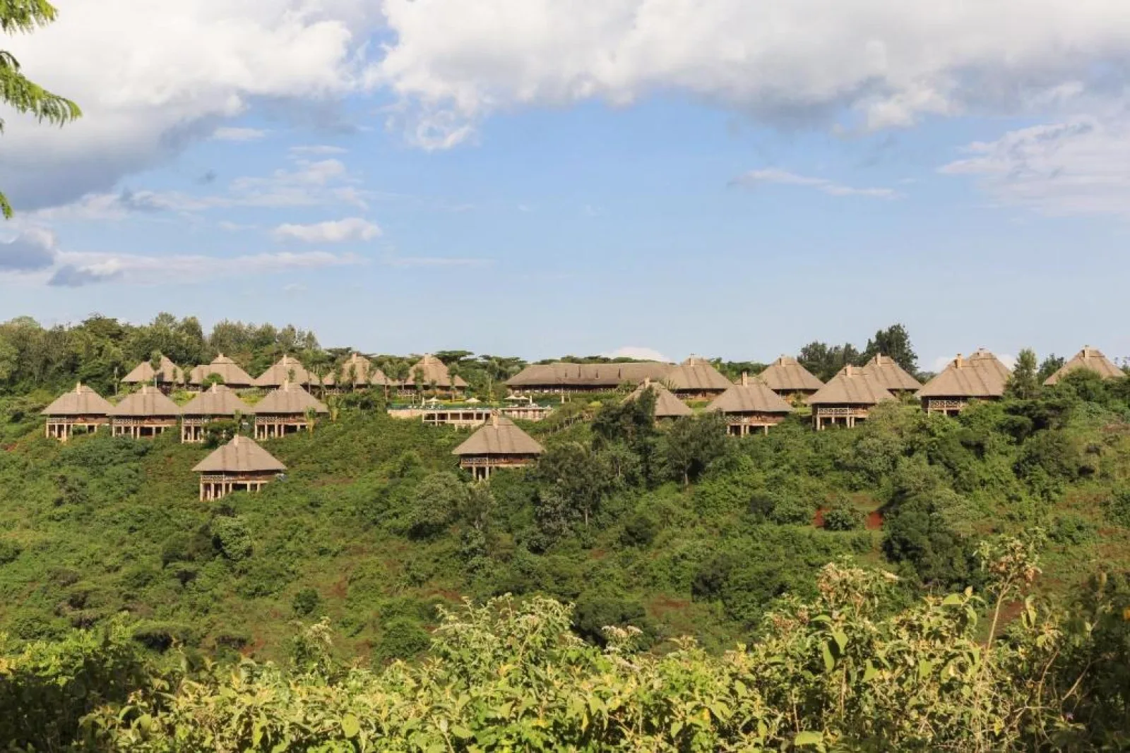 Wildlife photography in Ngorongoro
