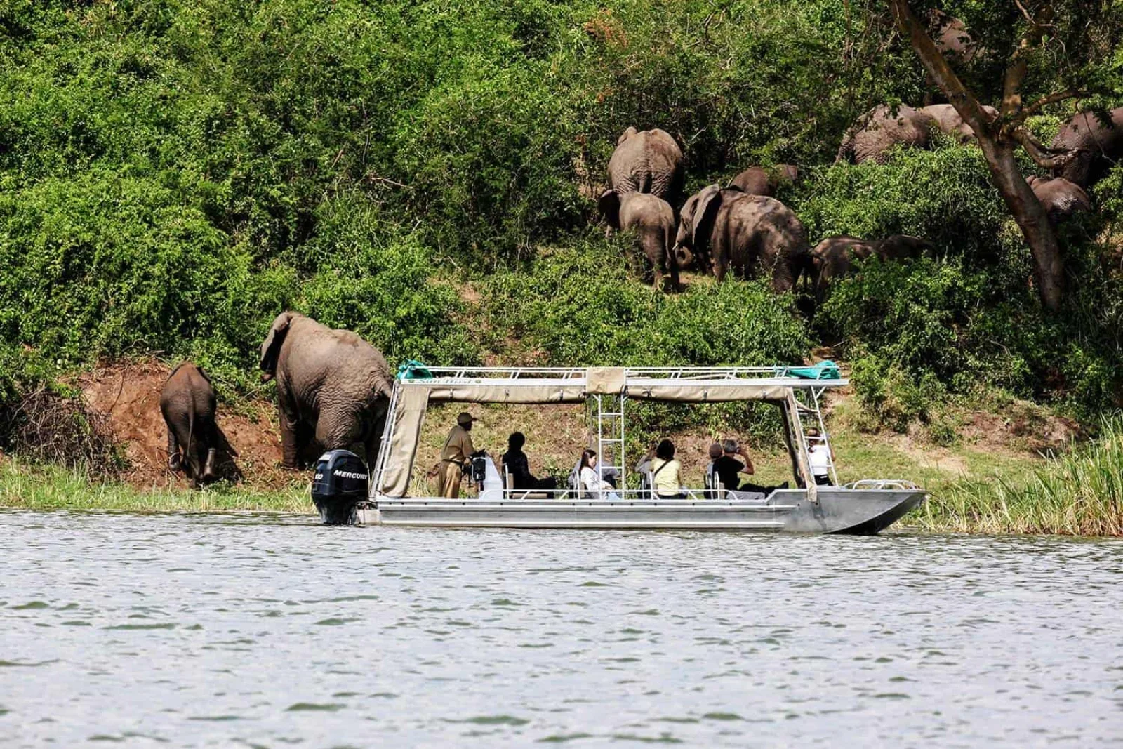 Wildlife photography in Queen Elizabeth