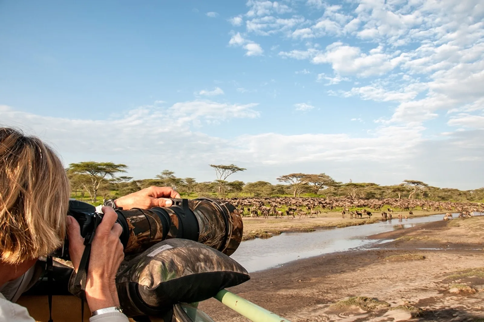 Wildlife photography in Serengeti