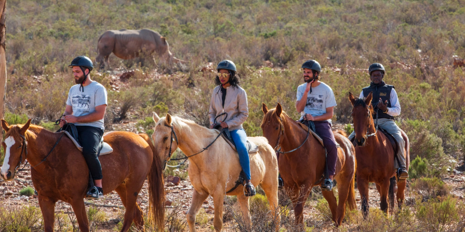 Wildlife photography on safari