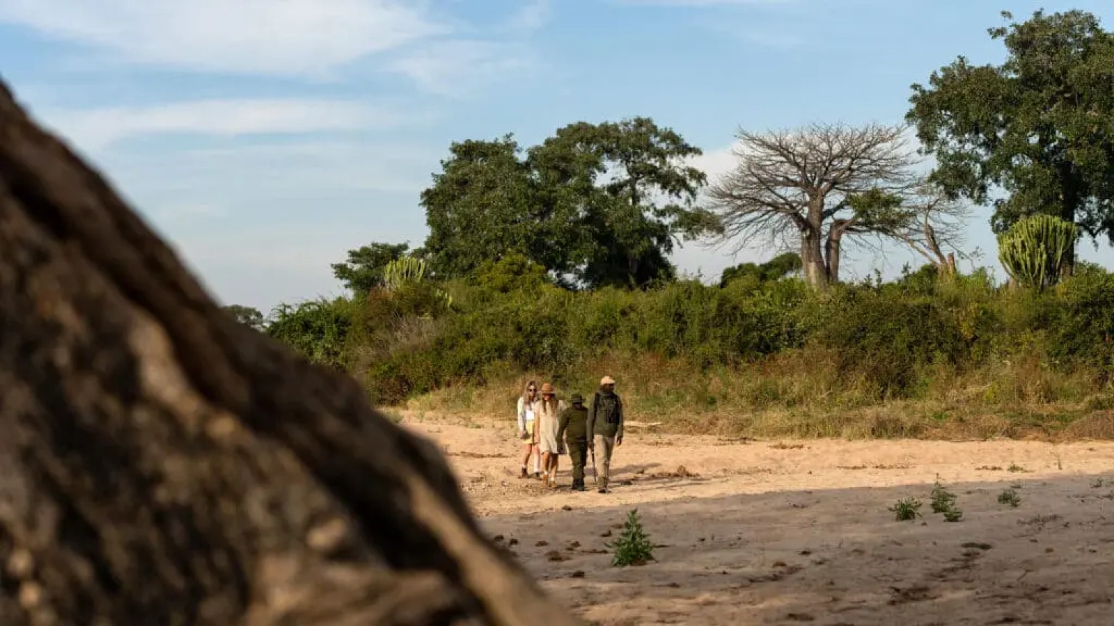 Wildlife photography on safari