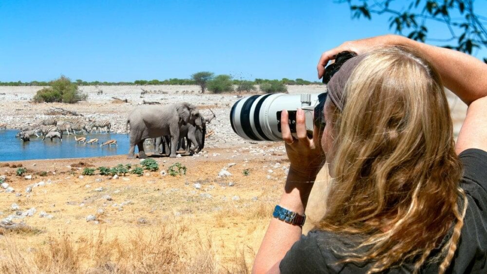 Wildlife photography on safari