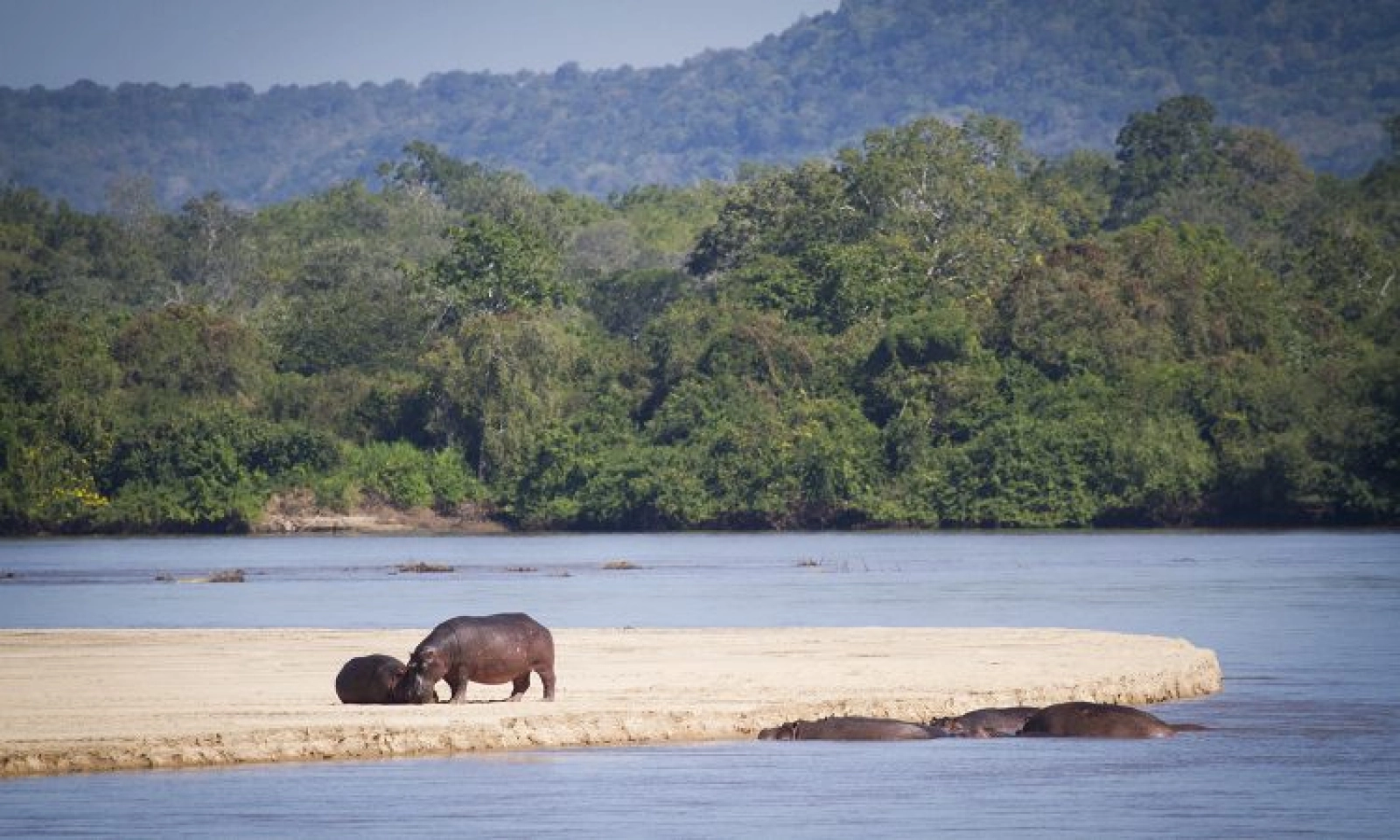 Wildlife photography on safari