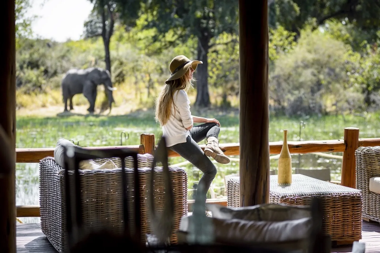 Wildlife photography on safari