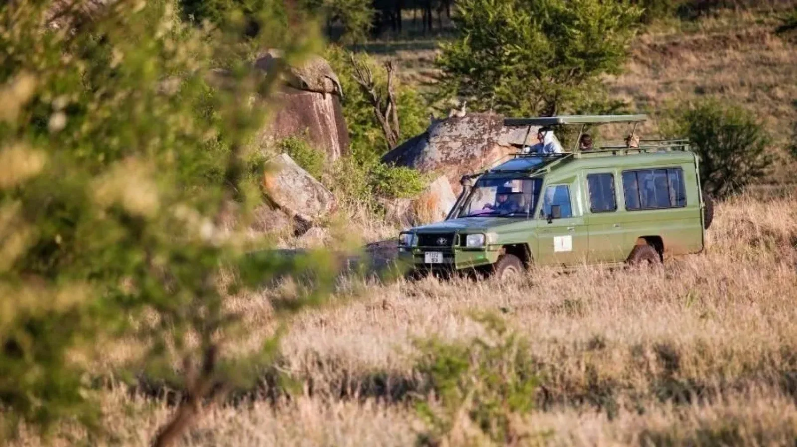 African safari