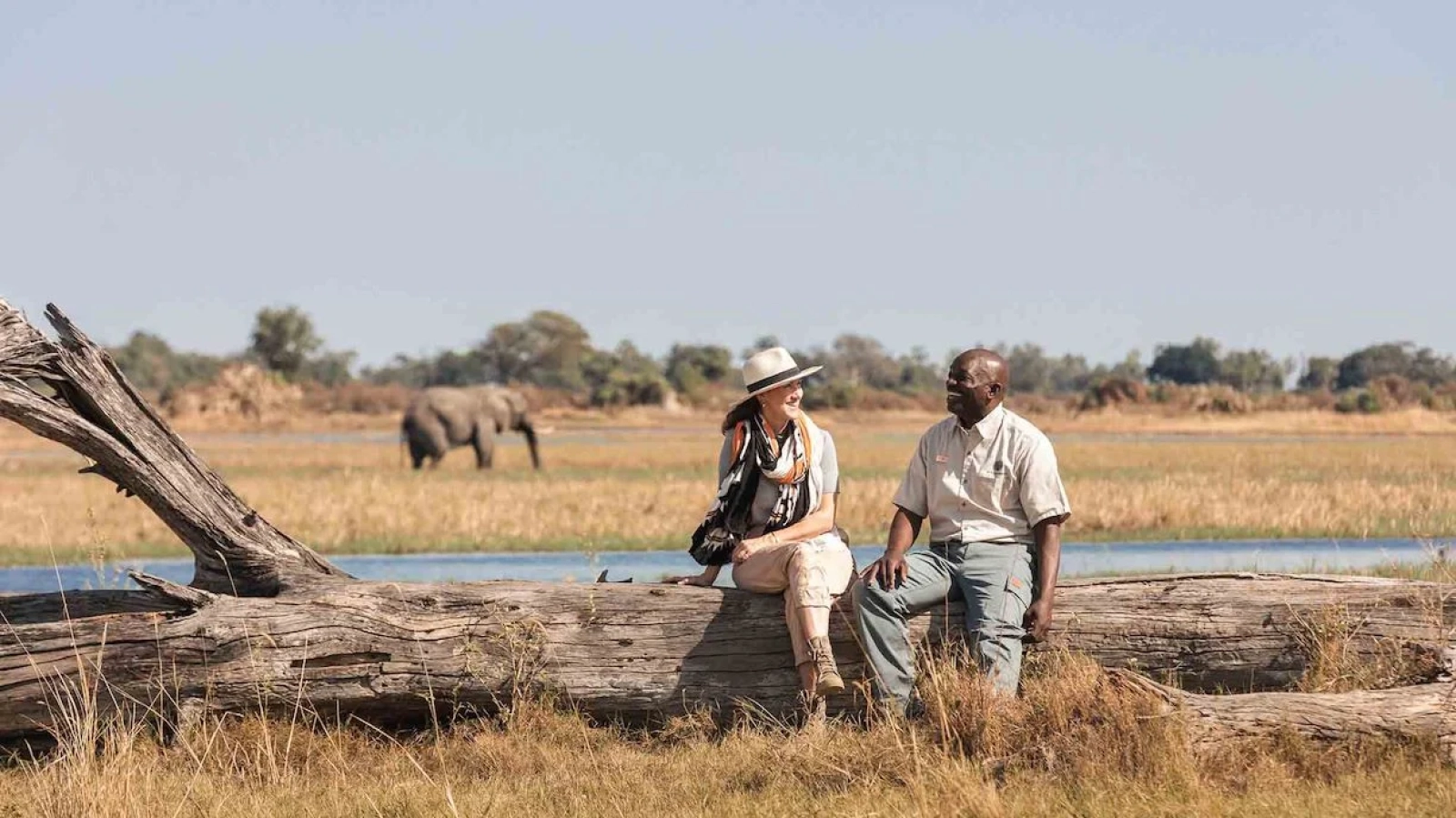 Big Five safari in Africa