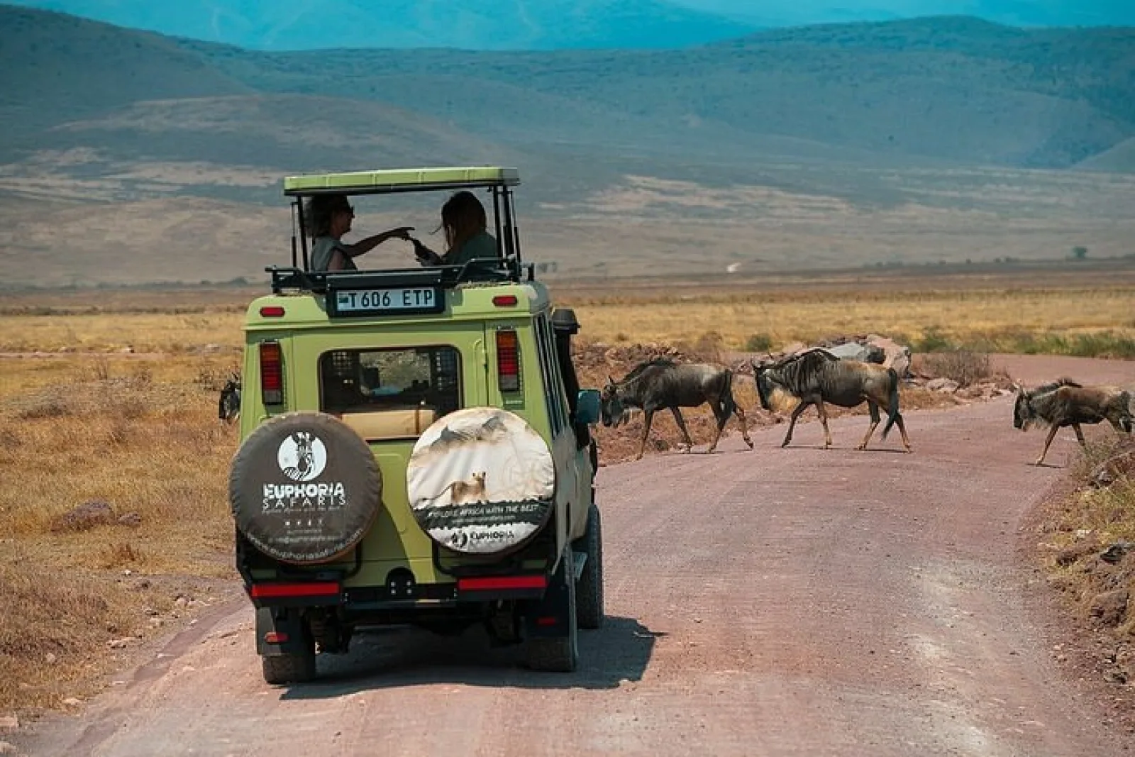 Big Five safari in Africa