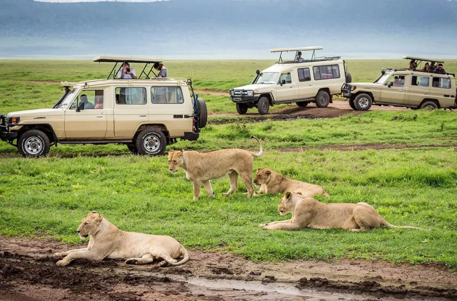 Big Five safari in Uganda