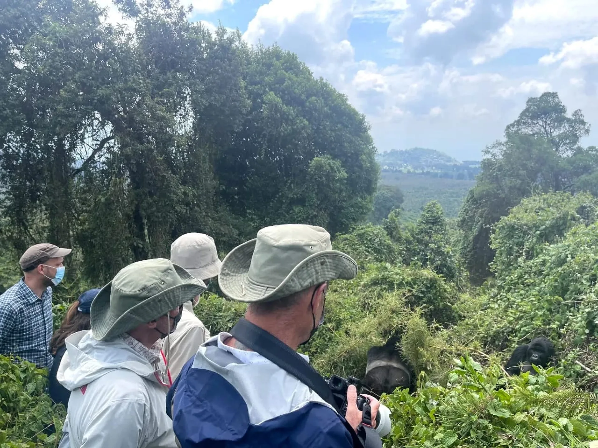 Budget Safari vs Luxus Safari