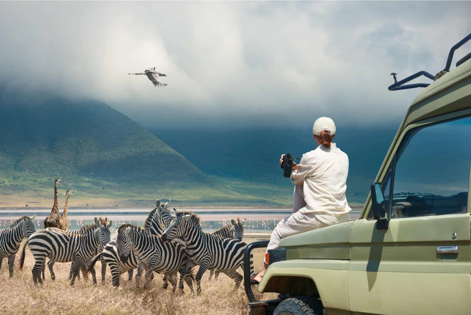Combien coûte un safari Tanzanie 3 jours