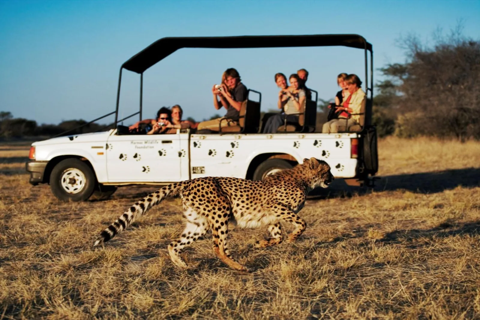 Comment réduire le prix d'un safari de 21 jours