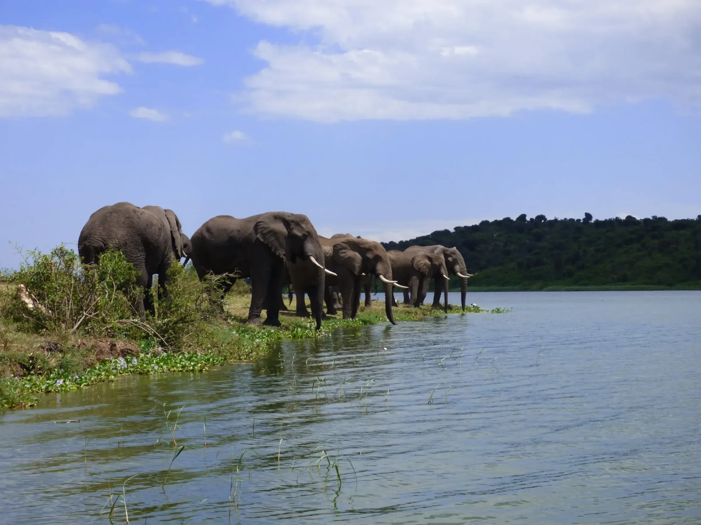 Die schönsten Landschaften Ugandas für Safari-Reisende