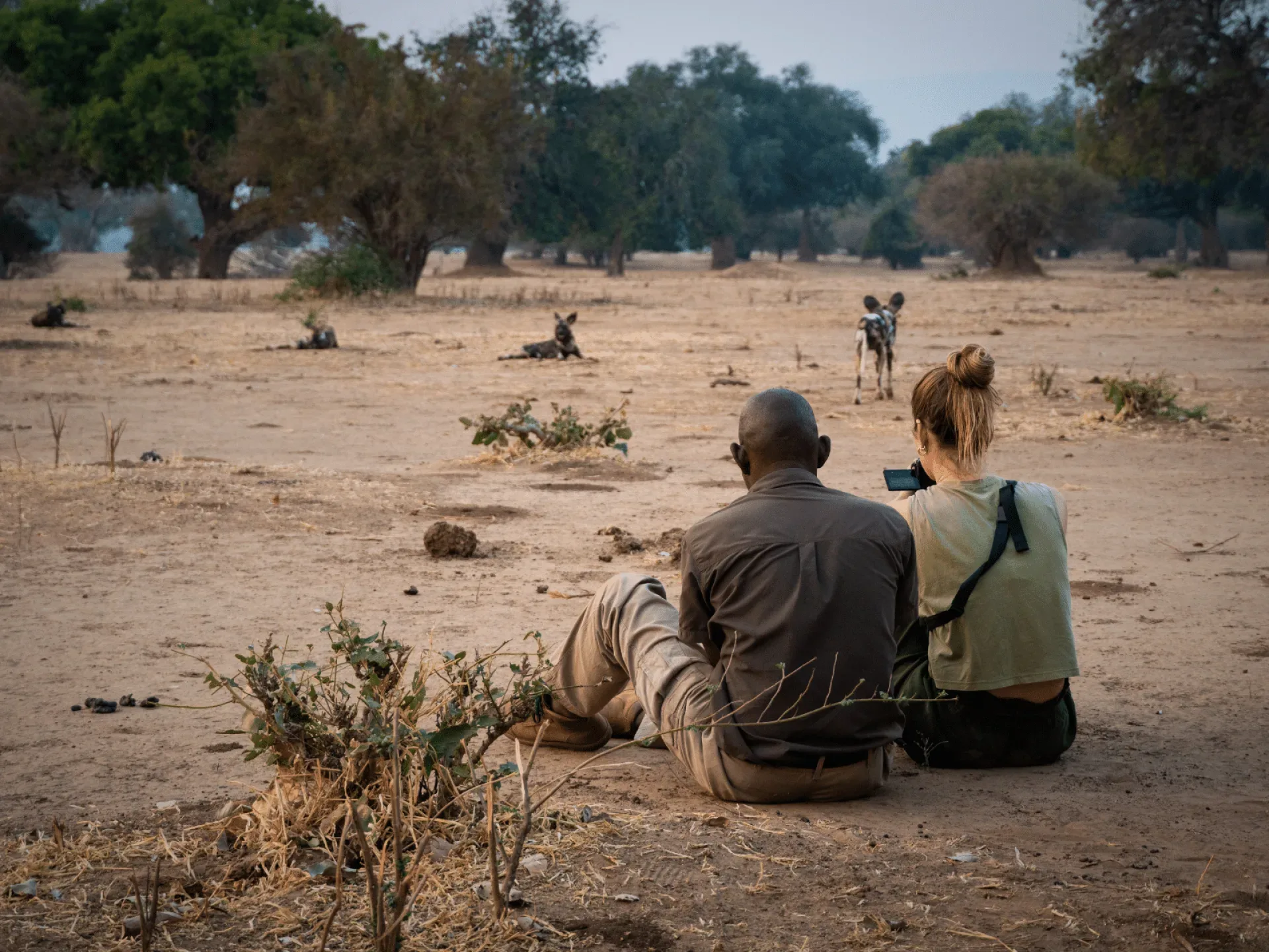 Fotosafari Afrika: Die besten Reiseziele