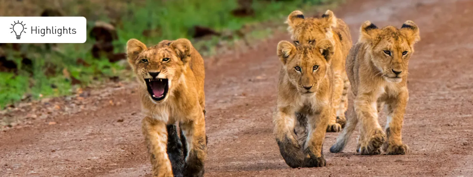 Fragen an einen Kenia Safari Reiseveranstalter