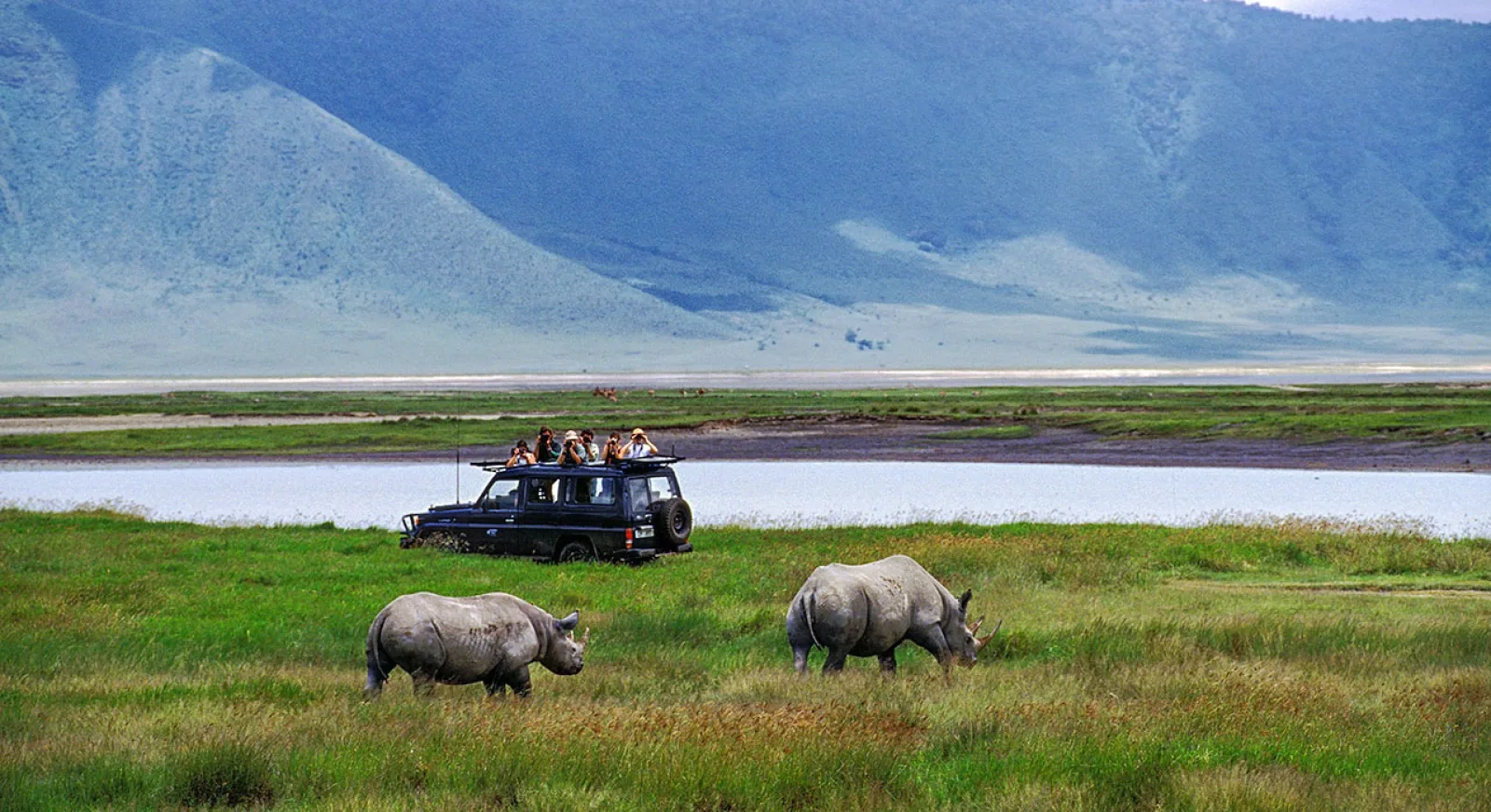 Game drive in Ngorongoro