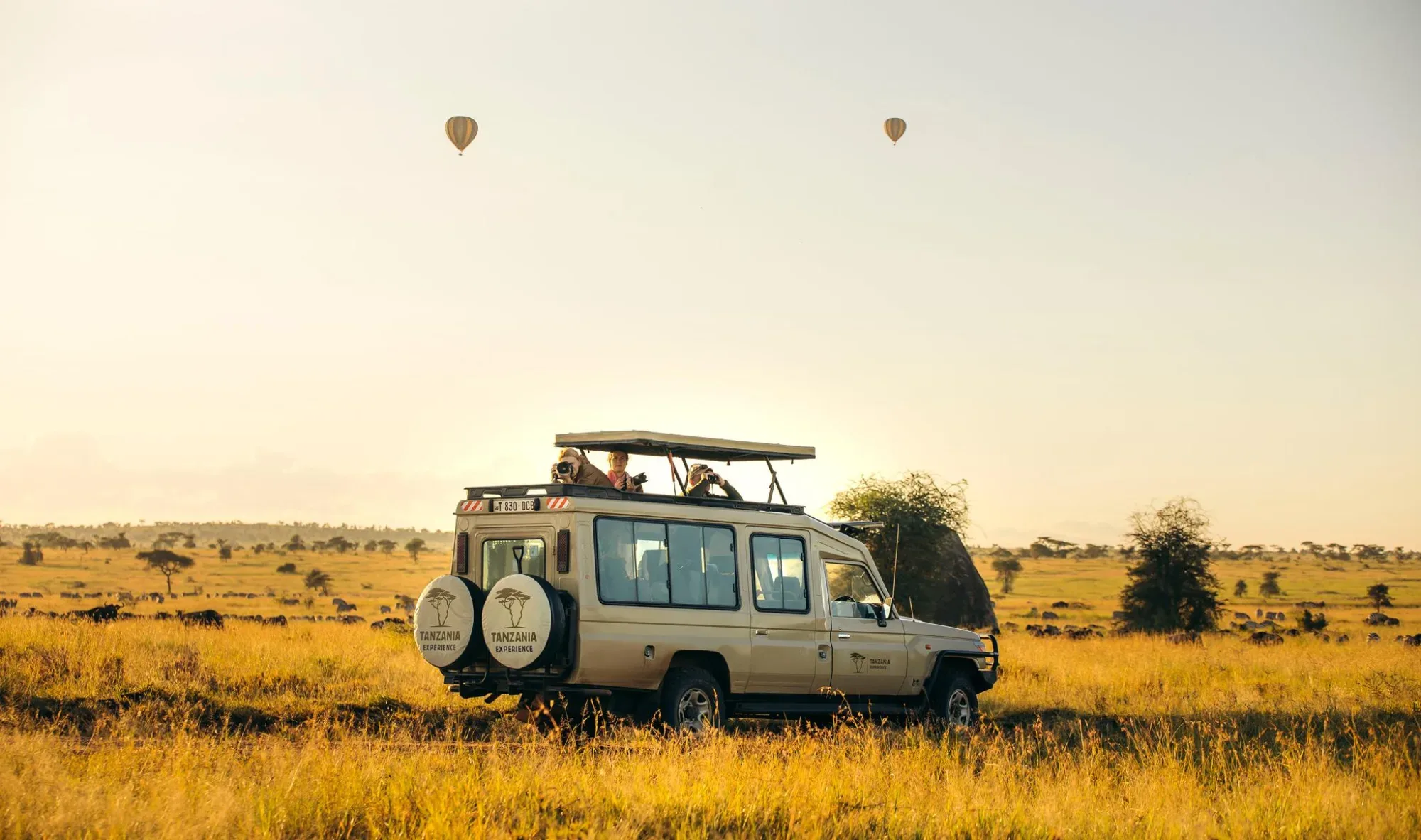 Game drive on an African safari