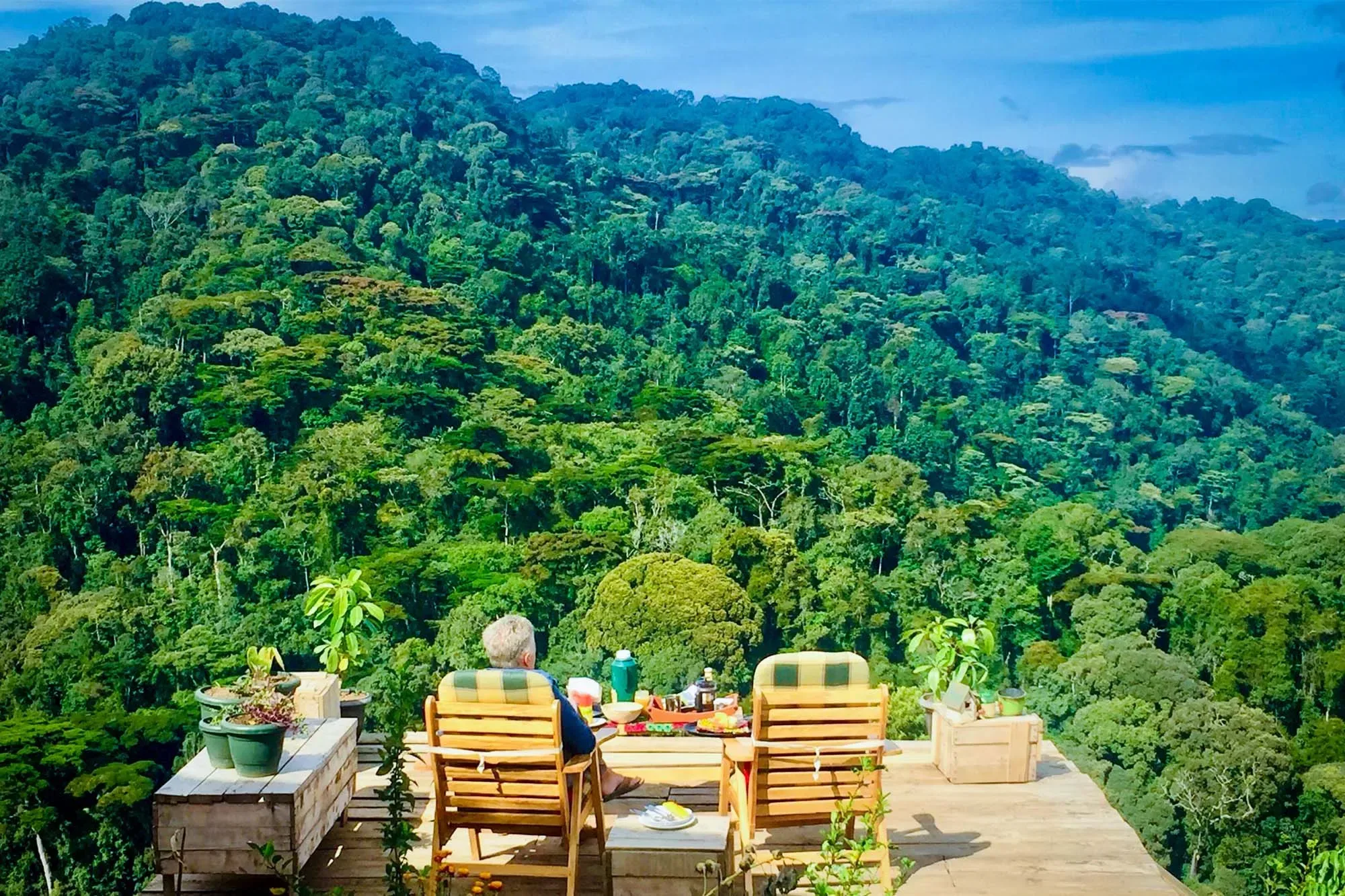 Gorilla trekking in Bwindi Impenetrable National Park