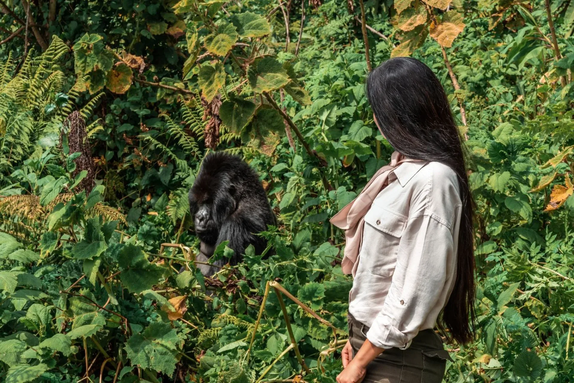 Gorilla Trekking Kleidung