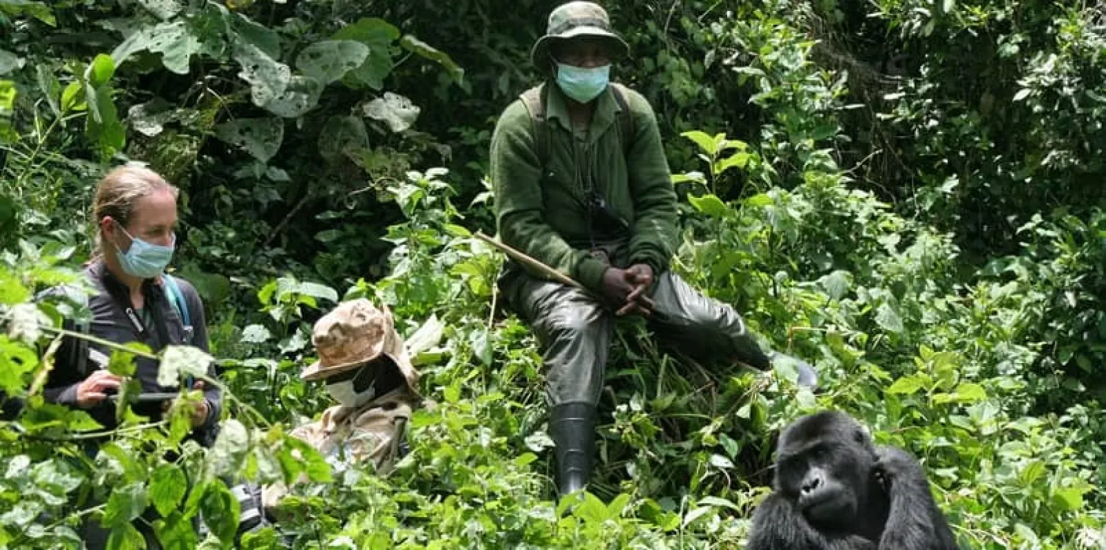 Gorilla Trekking Nebensaison mit Familie