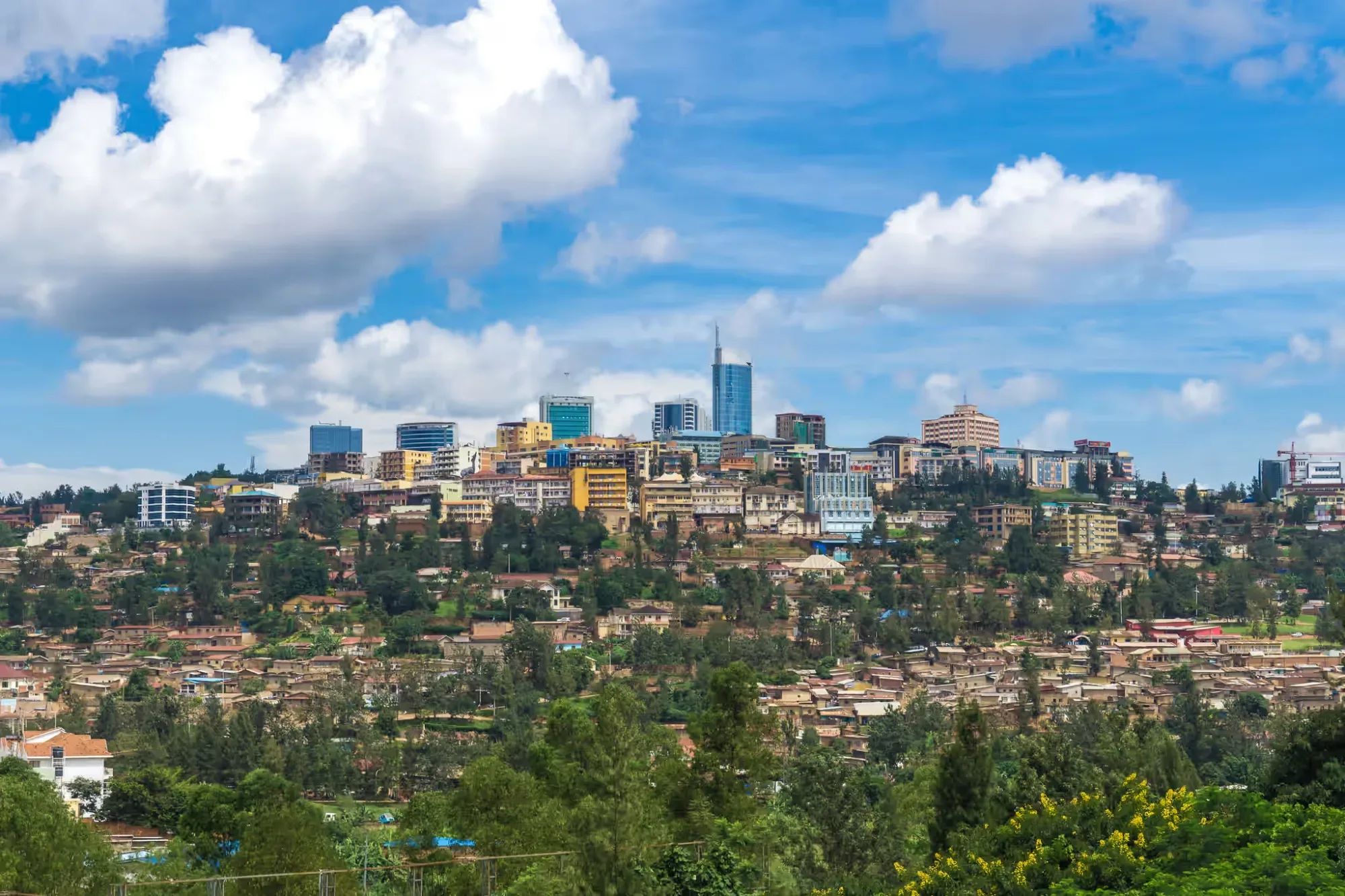 Gorillas in Kigali