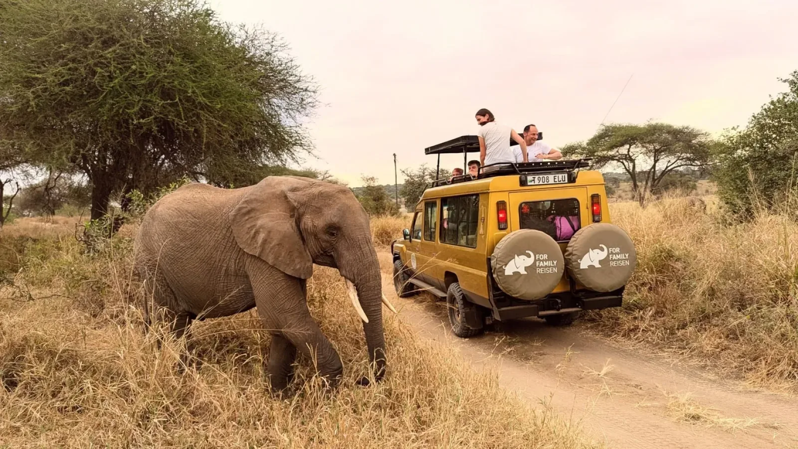 Günstige Safari für Familien
