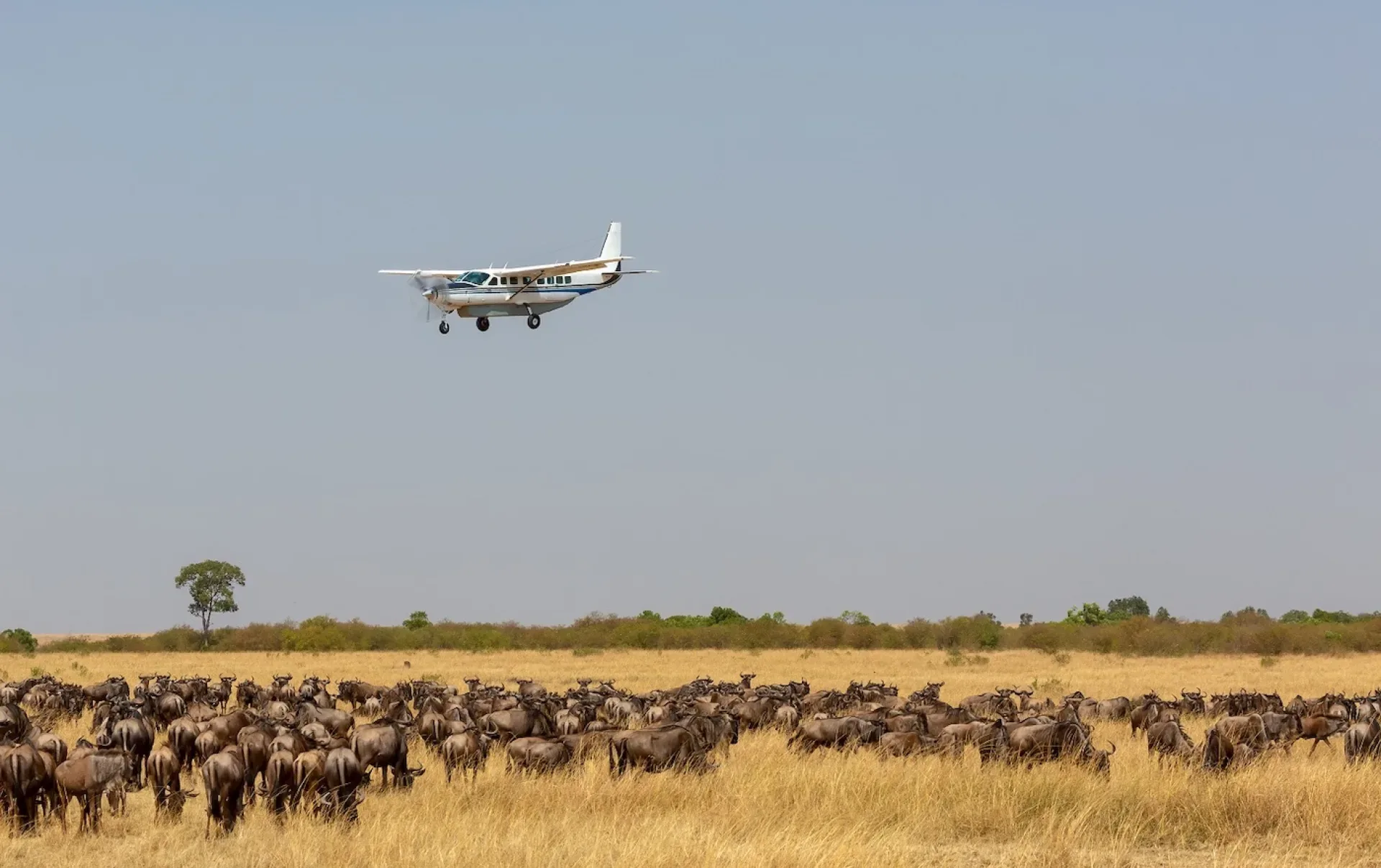 Kenia Fly-in Safari