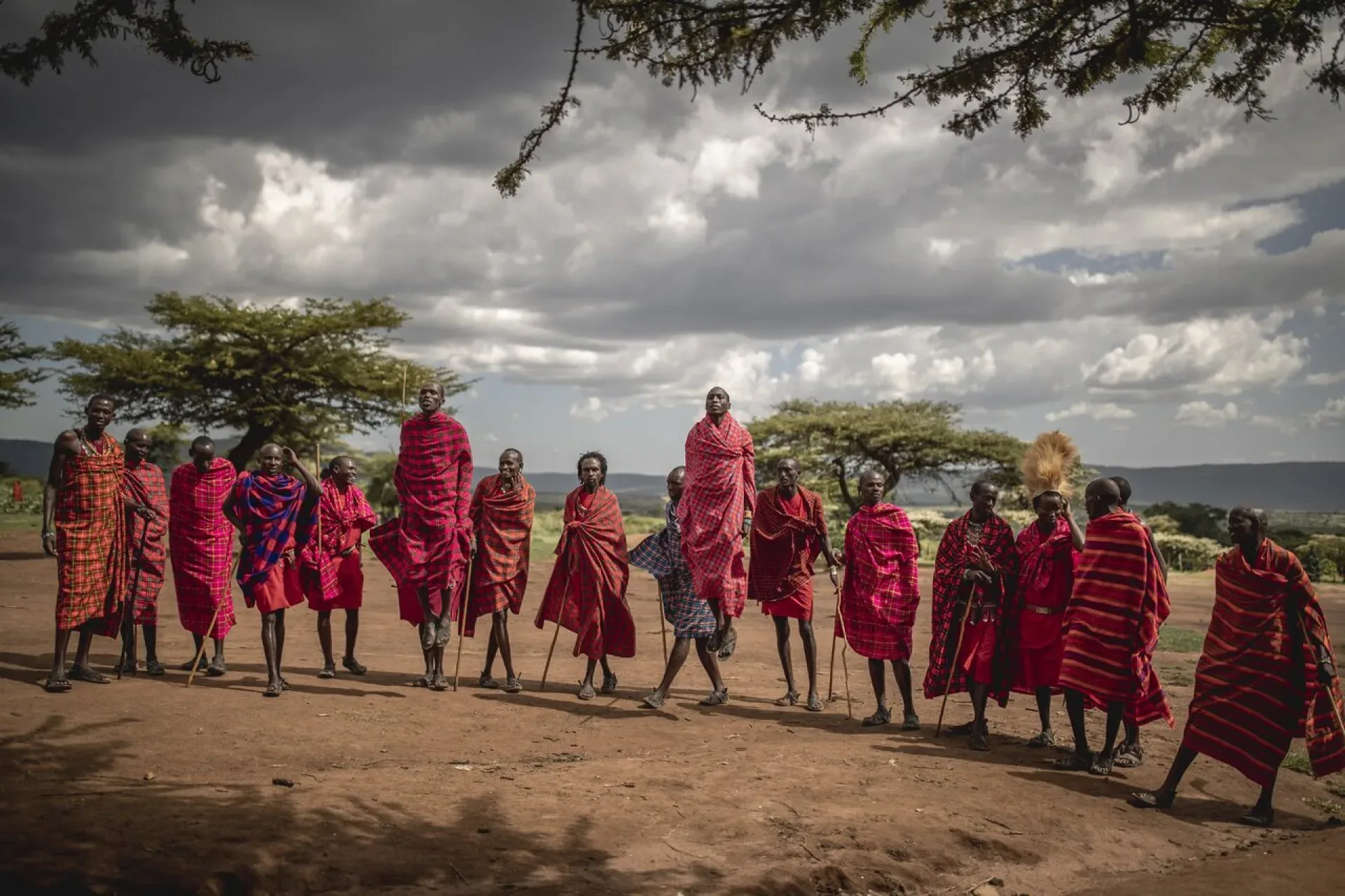 Kenia oder Uganda Safari?