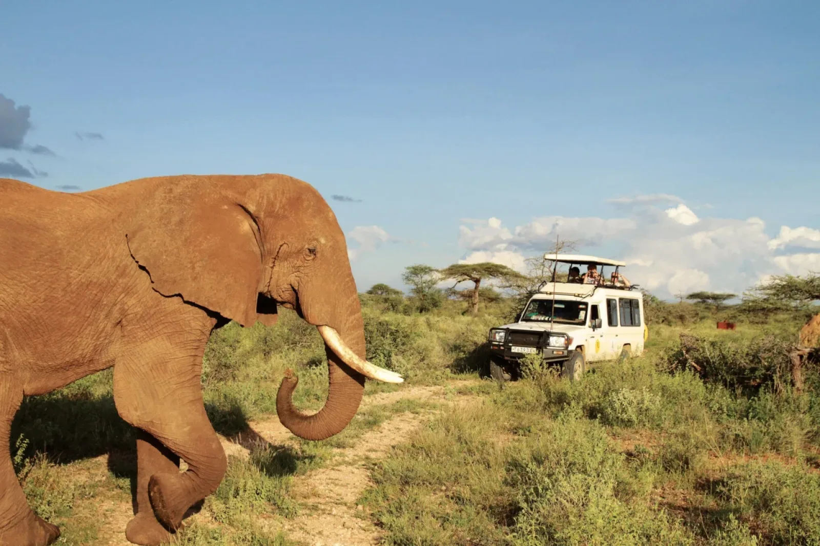 Kenia Safari ab München für Familien