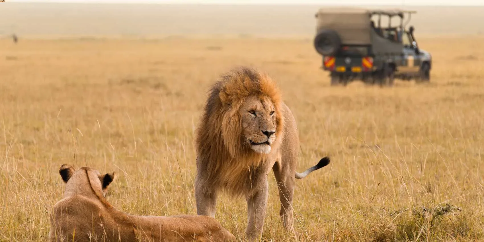 Kenia Safari im April