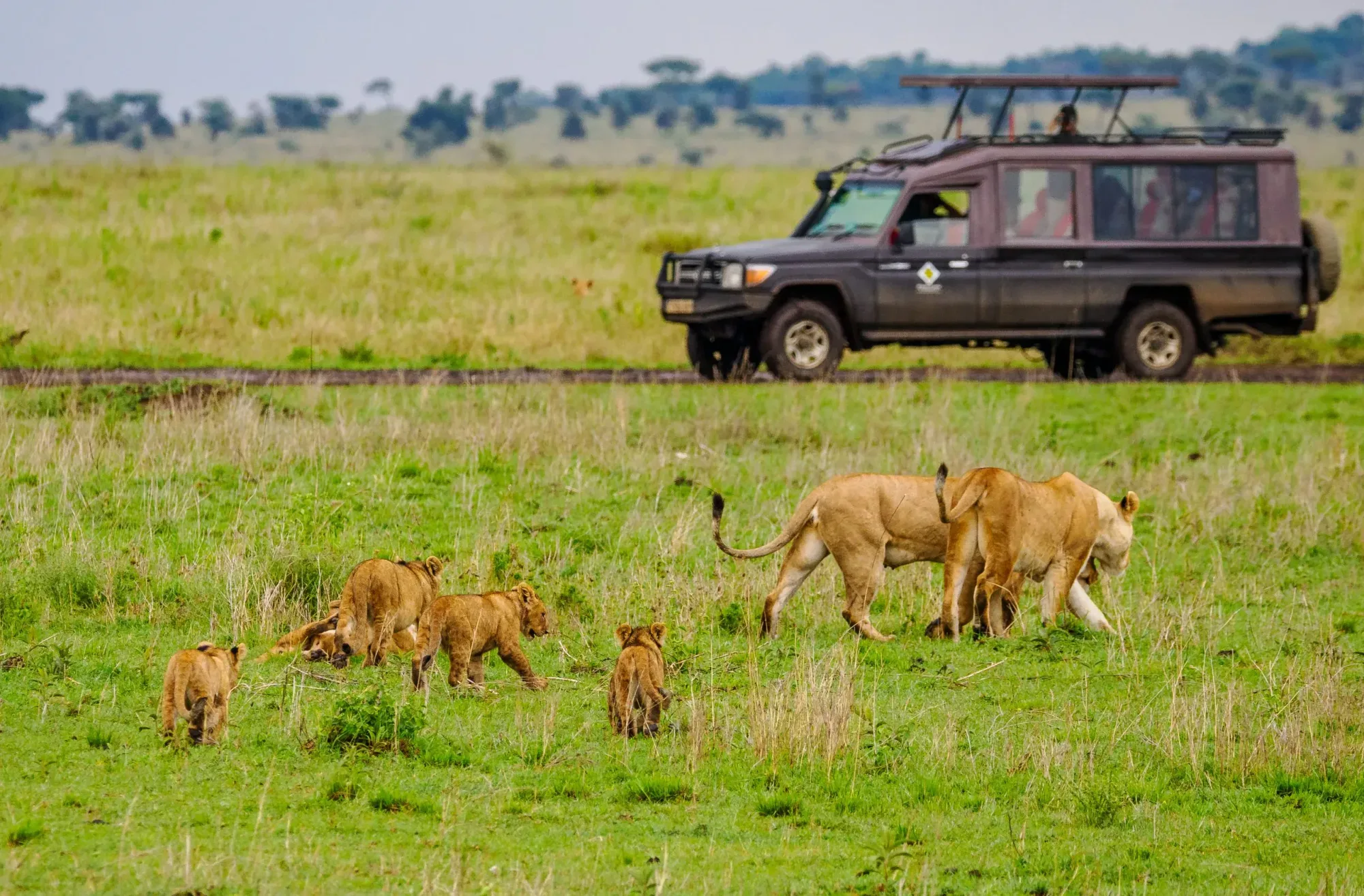 Kenia Safari im Oktober