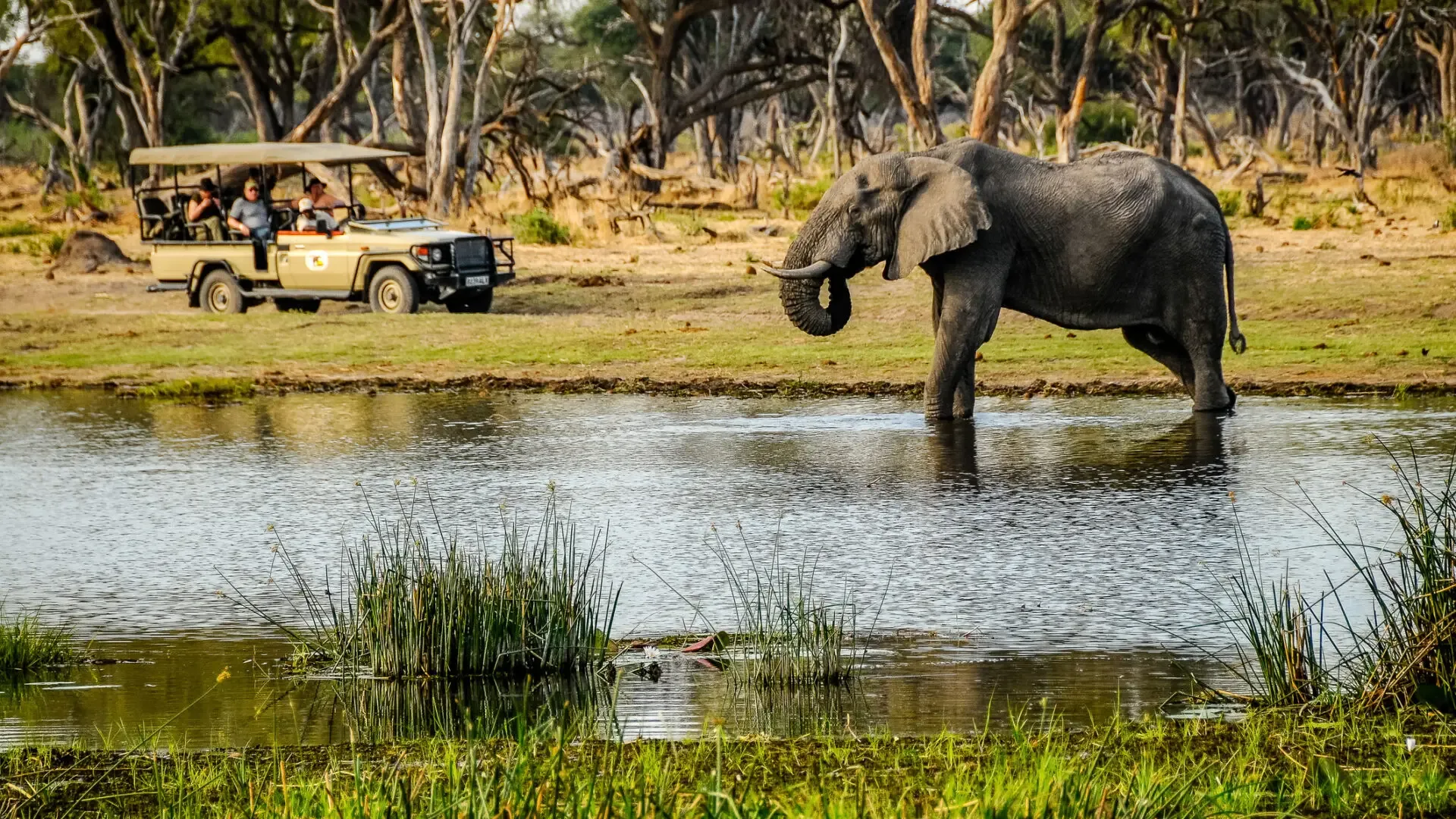 Kenia Safari in der Regenzeit