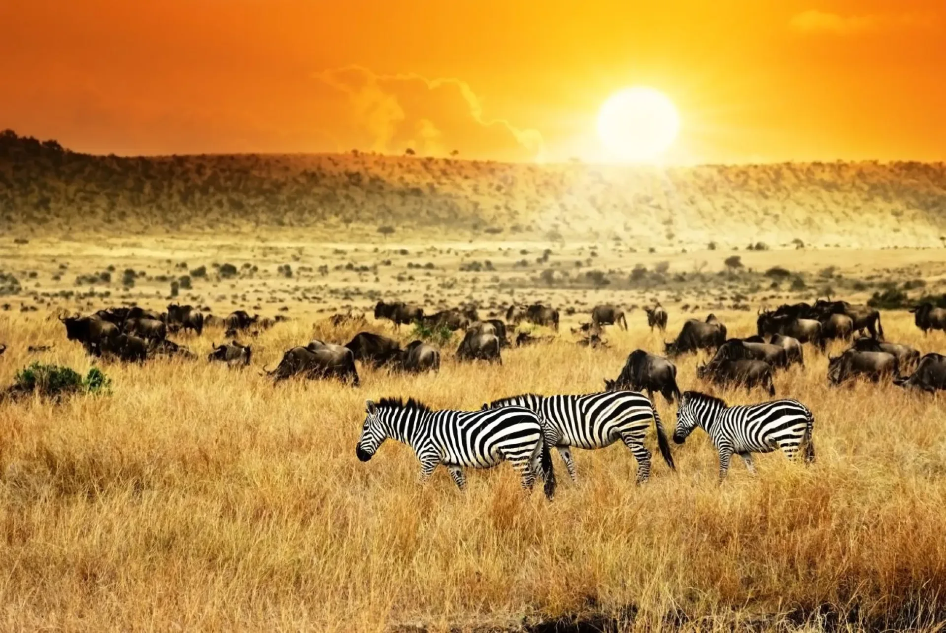 Kenia Safari und Badeurlaub