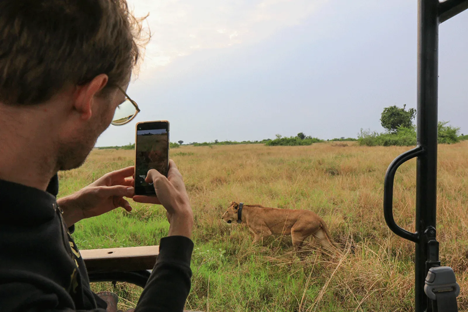 Leopard in Uganda
