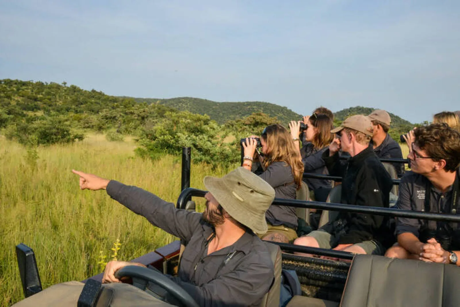 Leopard on an African safari