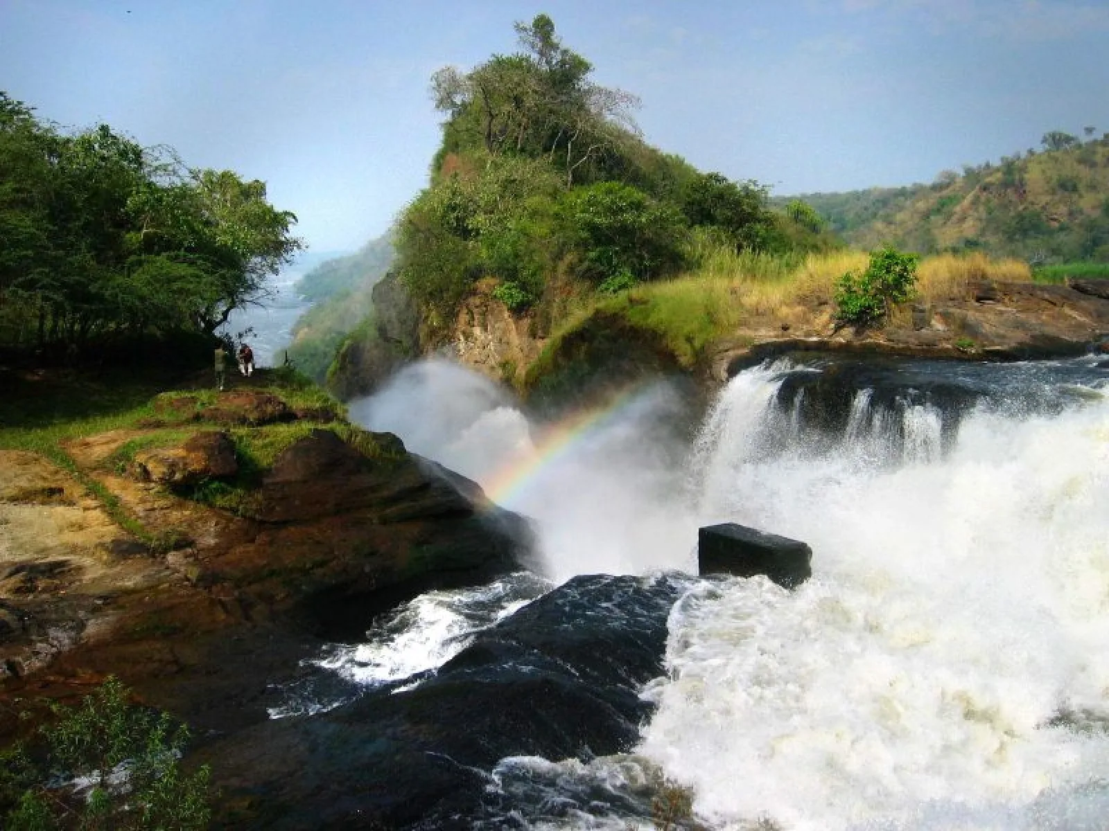 Lions in Murchison Falls