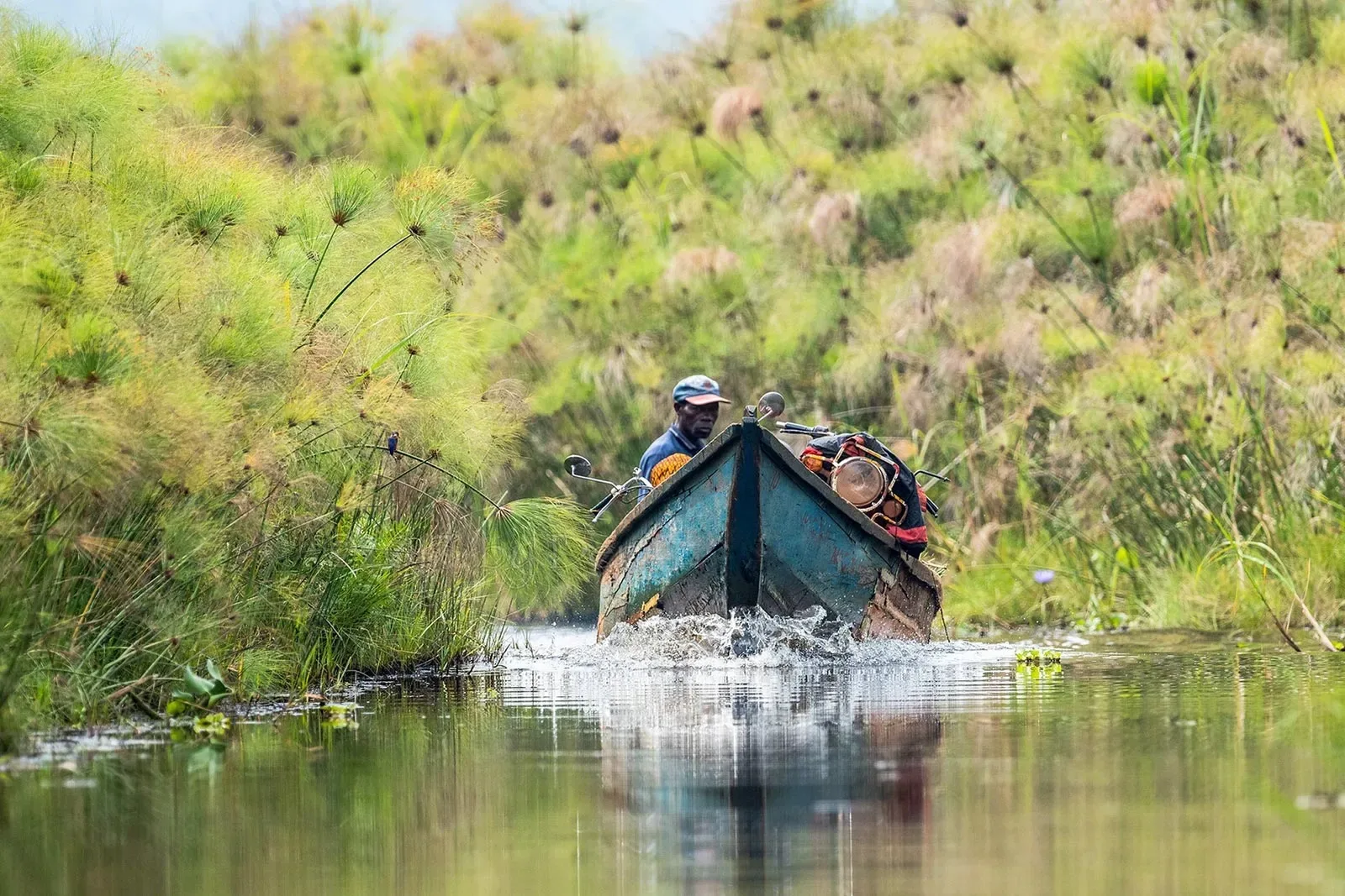 Mabamba Swamp