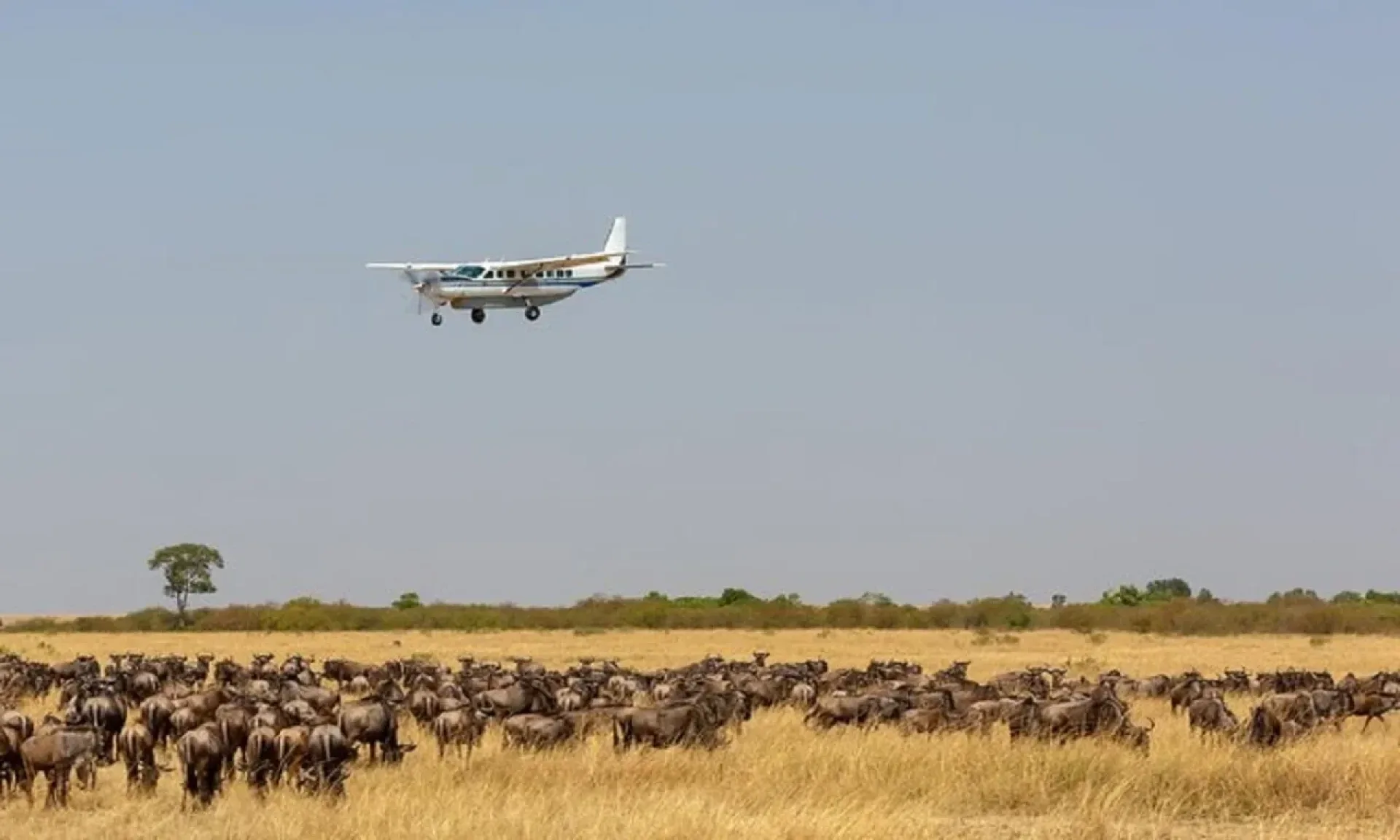Masai Mara Fly-in Safari