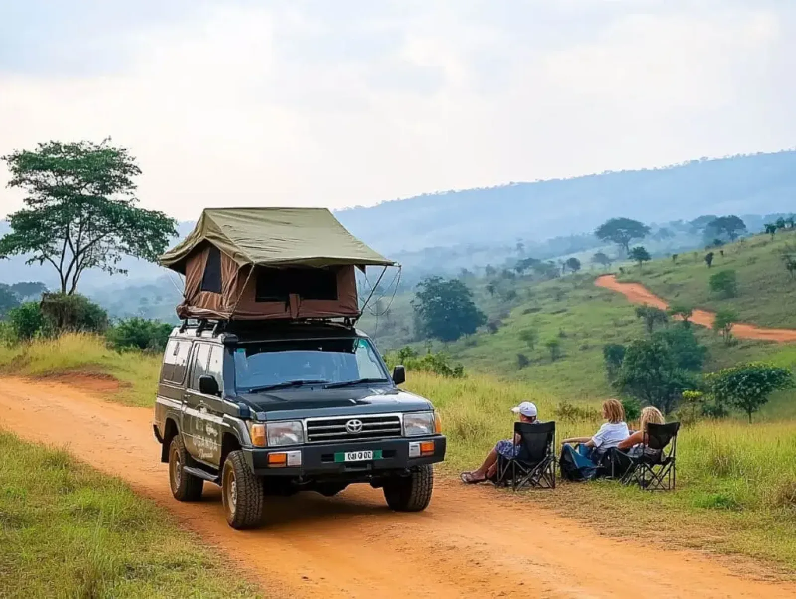 Mountain gorillas in Uganda
