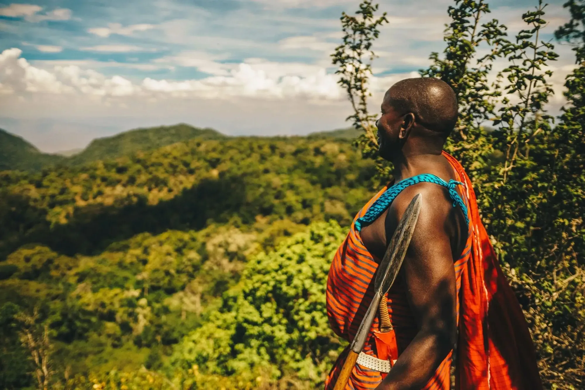 Mountain gorillas in Uganda