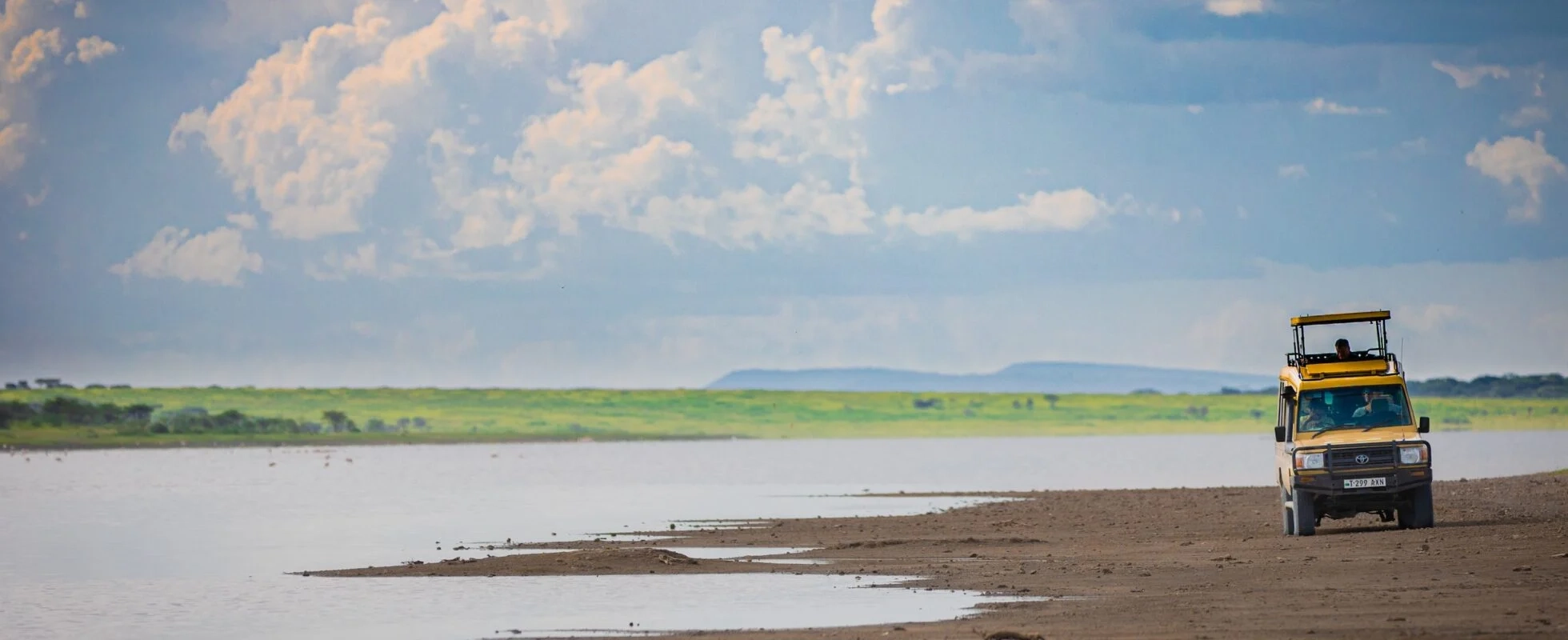 Ngorongoro