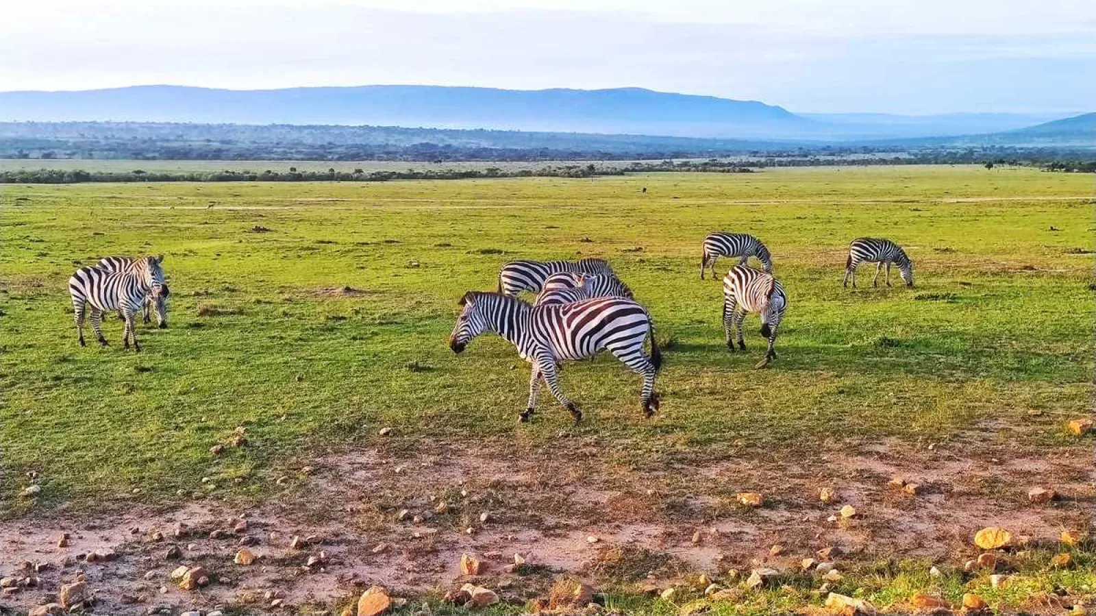 Night game drive in Masai Mara