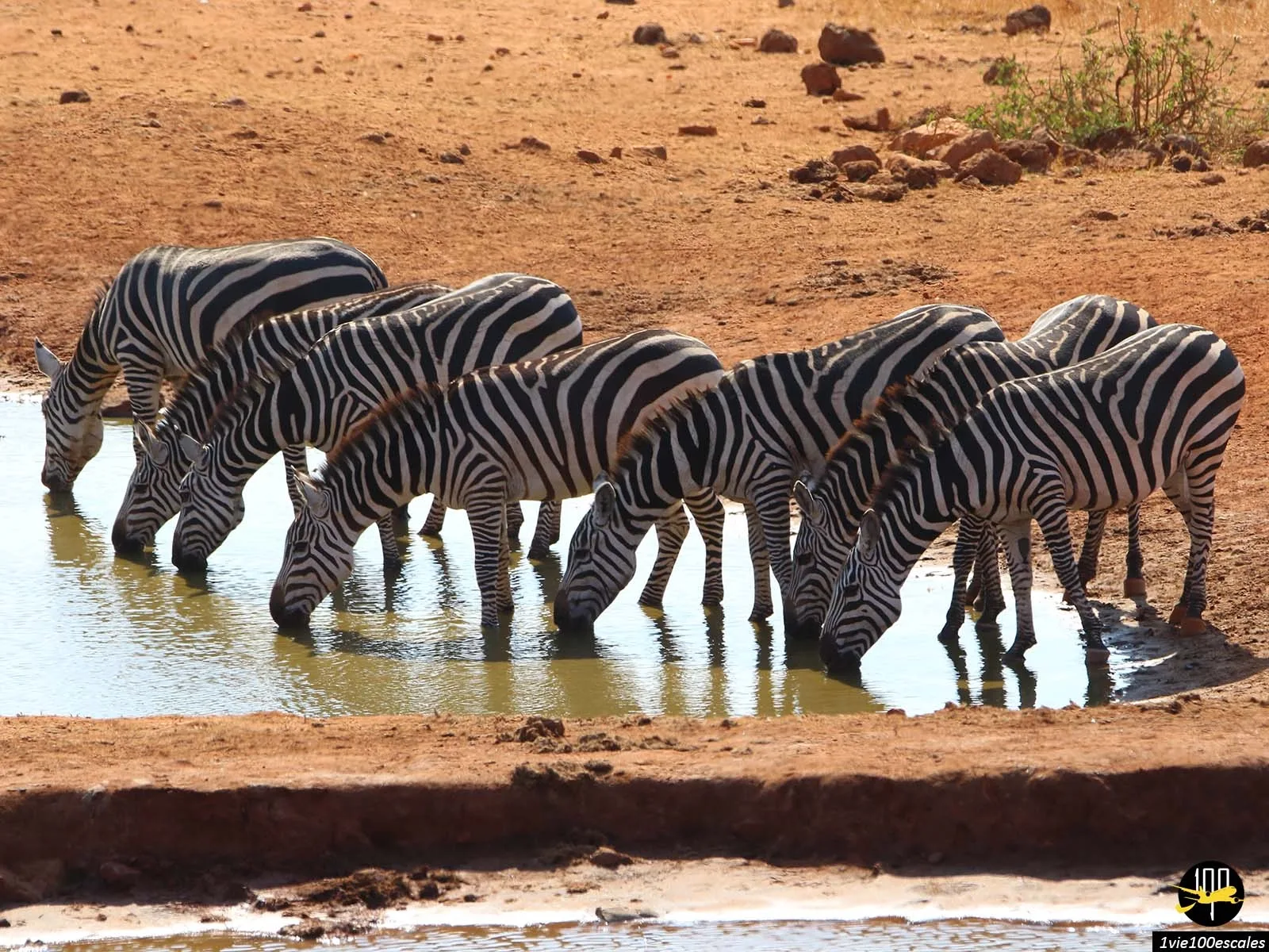 Où dormir à Tsavo Est