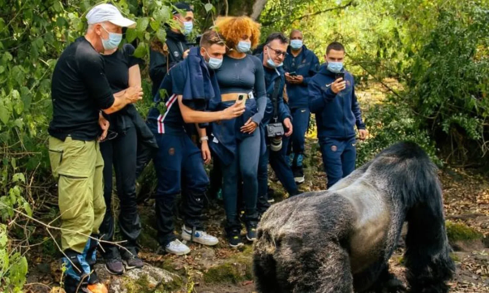 Porter helping a visitor on a gorilla trek