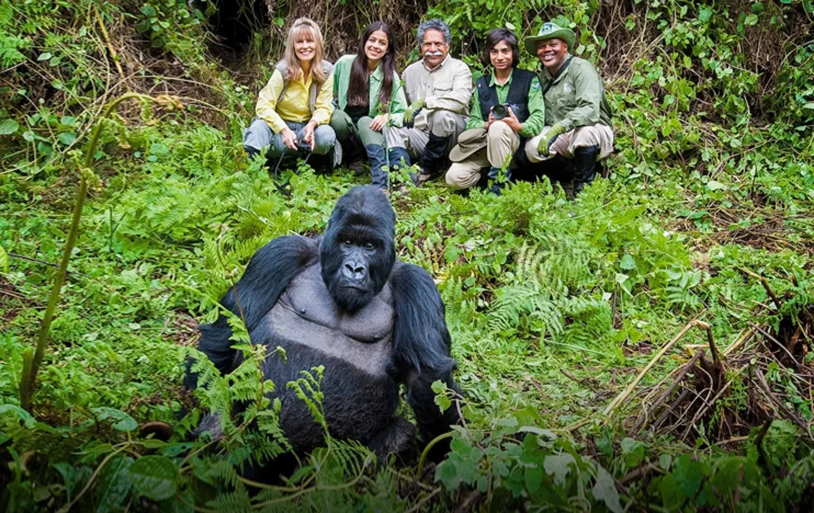 Porter helping a visitor on a gorilla trek in Mgahinga Gorilla National Park