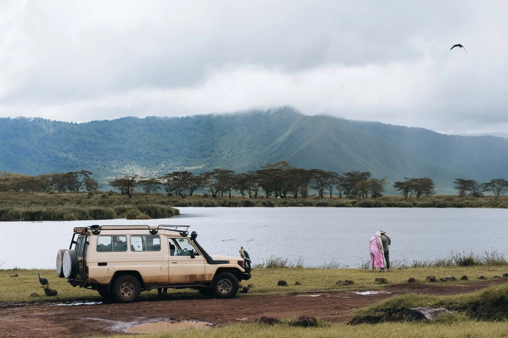 Pourquoi la Tanzanie est-elle adaptée à un safari en famille
