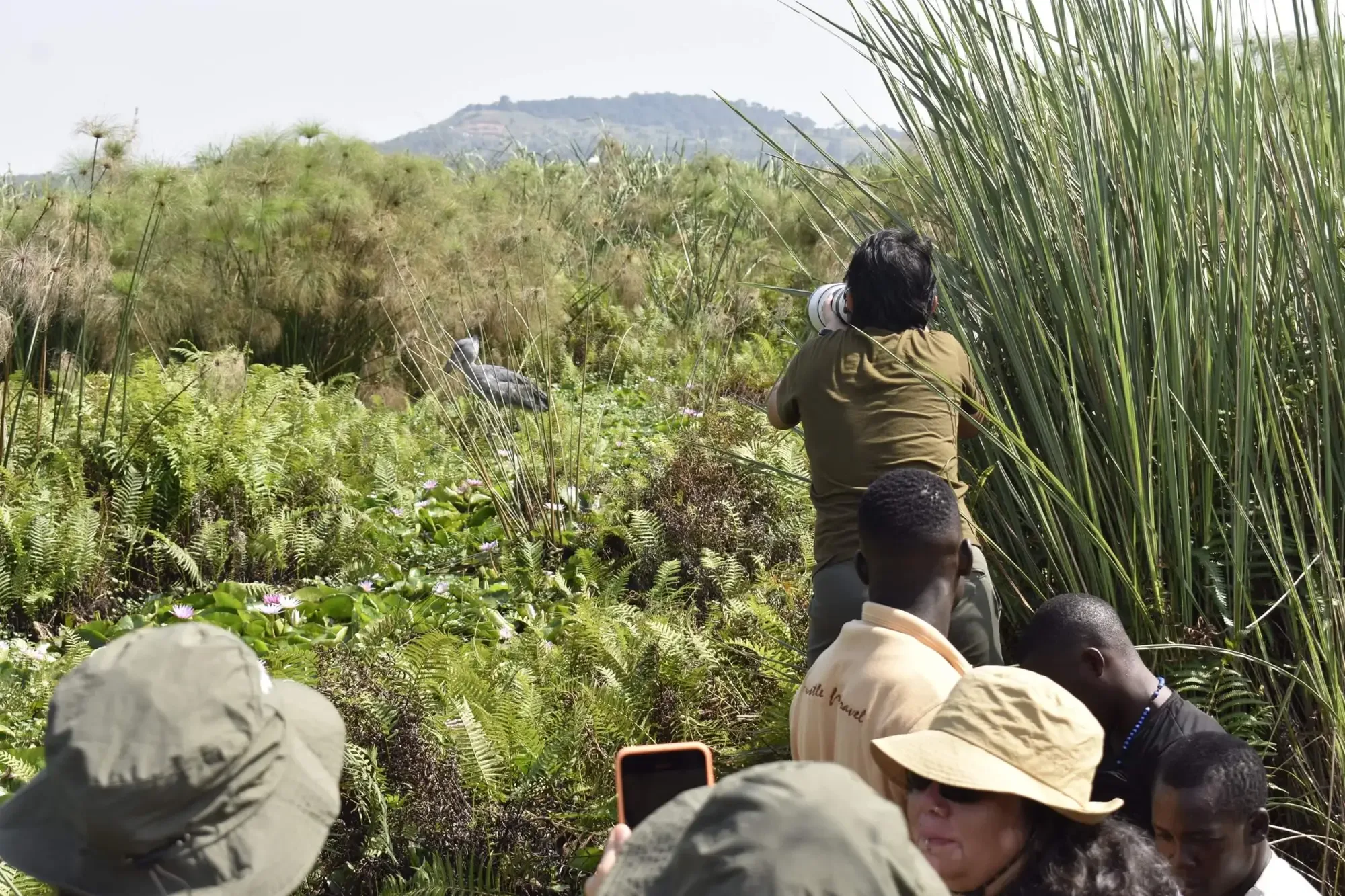 Private Mabamba Tour