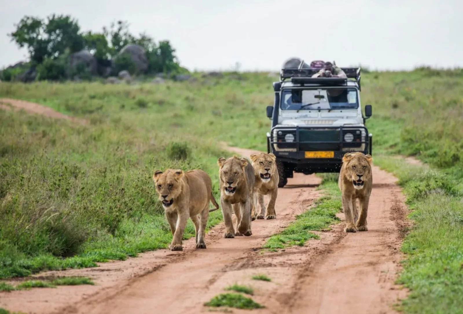Private safari vehicle in East Africa