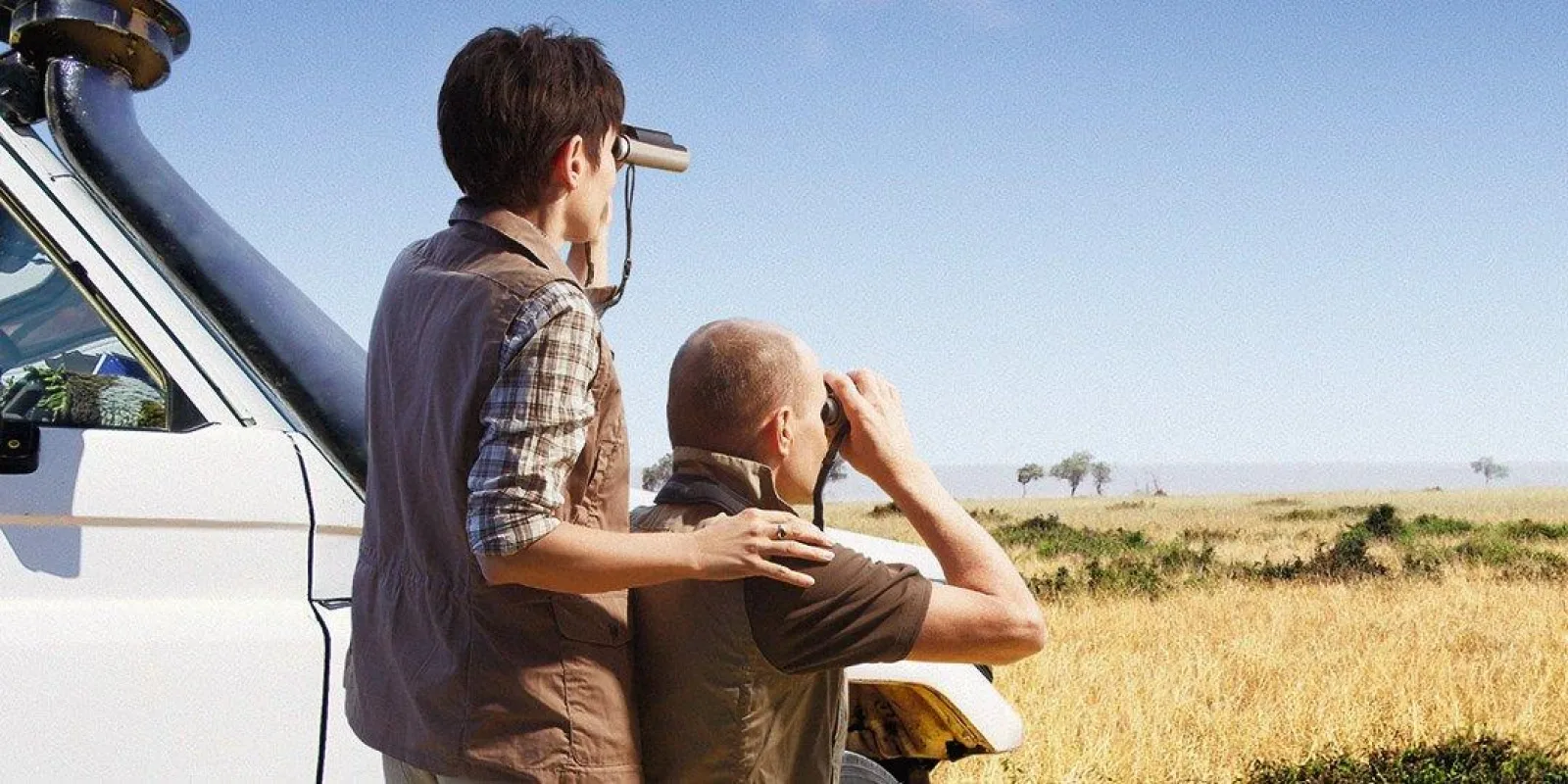 Quel grossissement choisir pour un safari