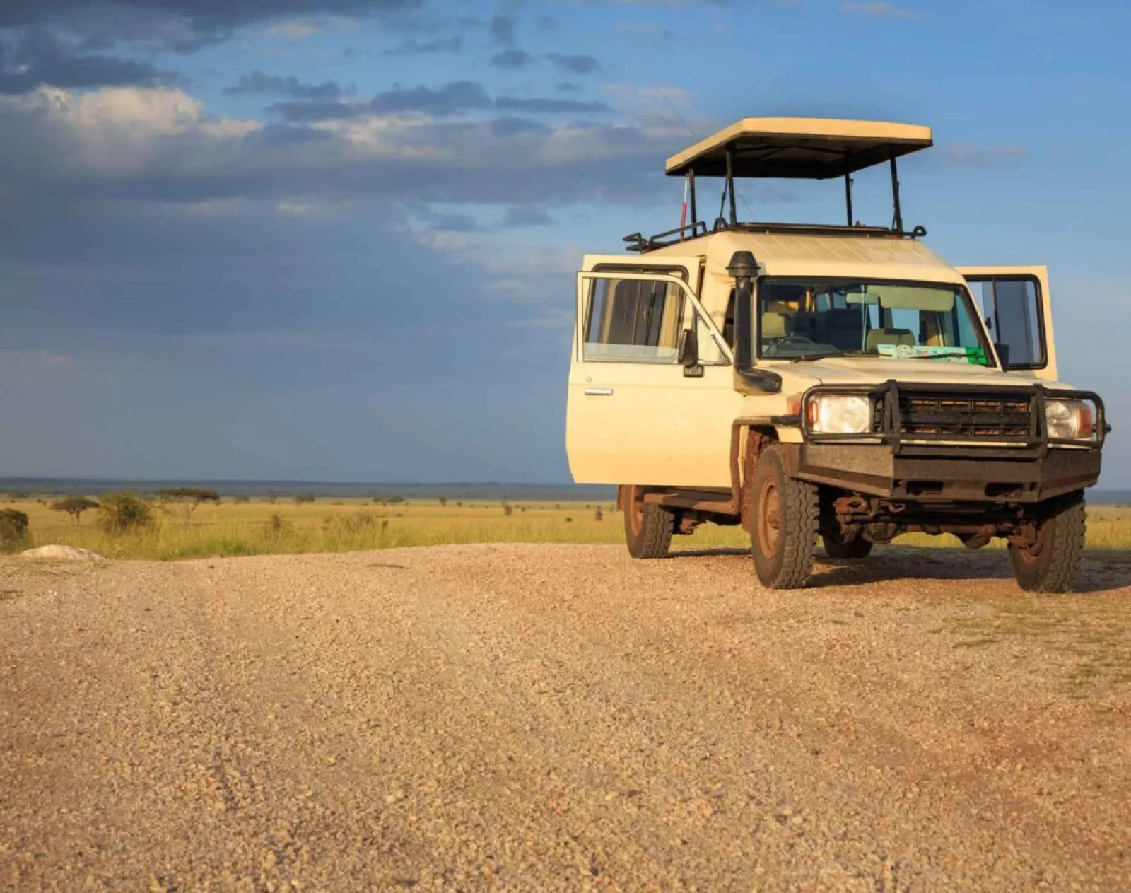 Road Safari oder Fly-in Safari